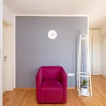 Two Bedroom Sunny 公寓